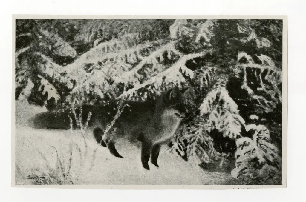 Anonimo , Liljefors, Bruno - sec. XX - Renard - foret d'hiver , fronte