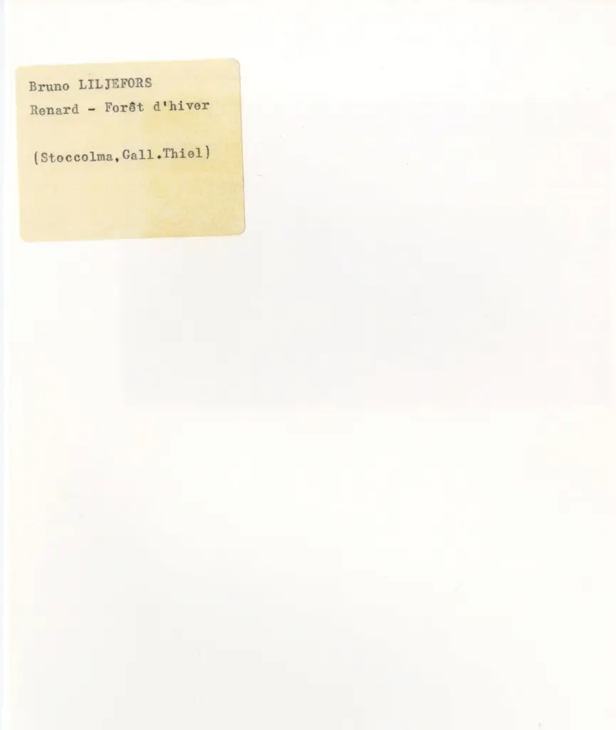 Anonimo , Liljefors, Bruno - sec. XX - Renard - foret d'hiver , retro