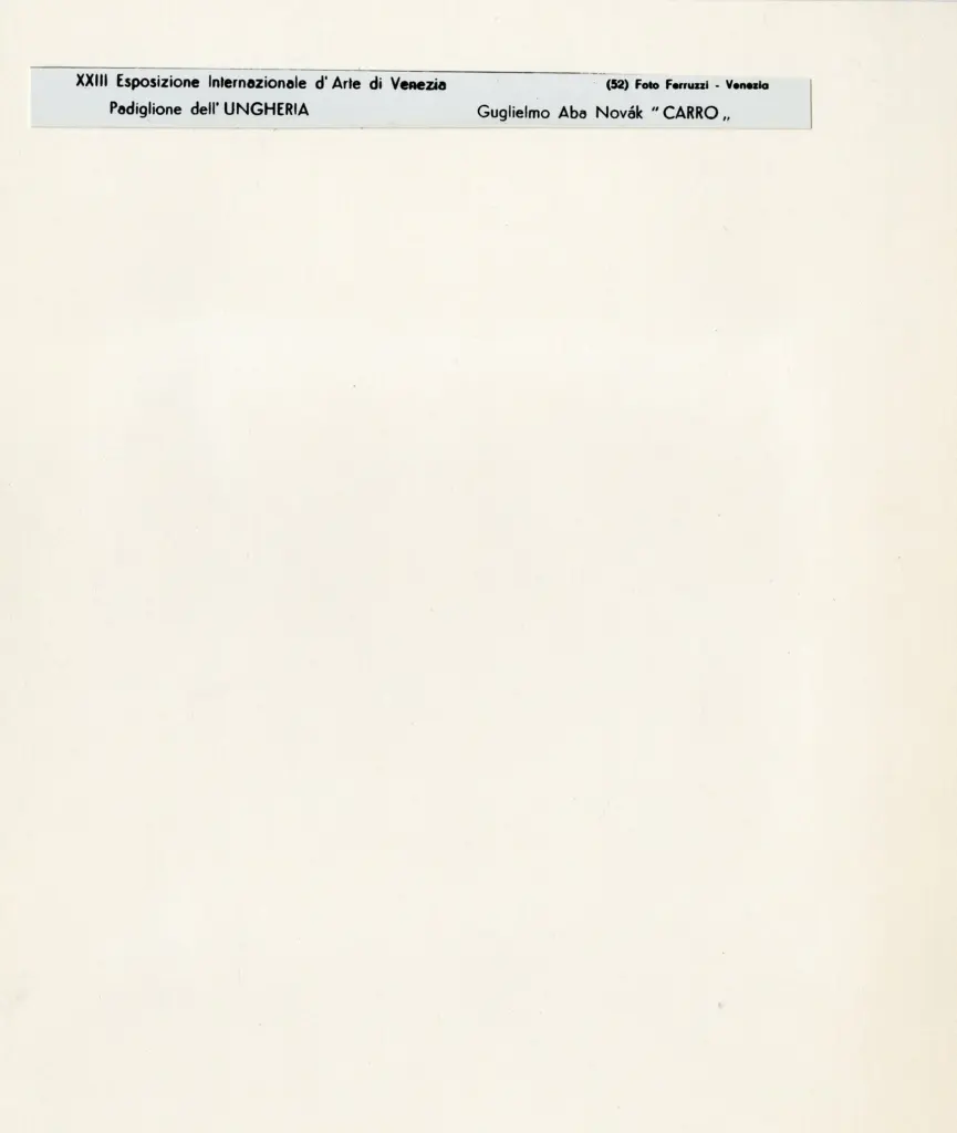 Fotografia Ferruzzi , Aba-Novak, Guglielmo - sec. XIX/XX - Carro , retro