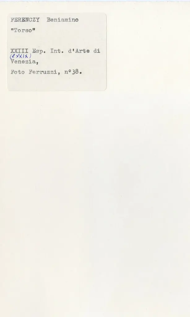Fotografia Ferruzzi , Ferenczy, Beniamino - sec. XIX/ XX - Torso , retro