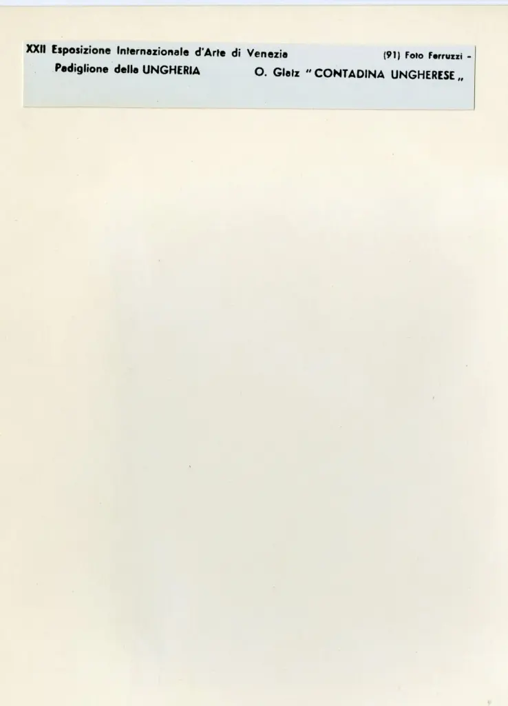 Fotografia Ferruzzi , Glatz, Oscar - sec. XIX/ XX - Contadina ungherese , retro