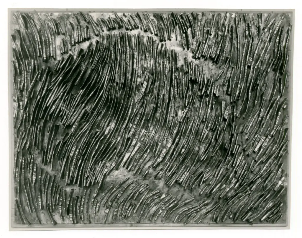 Kemeny, Zoltan , Lignes en fruite