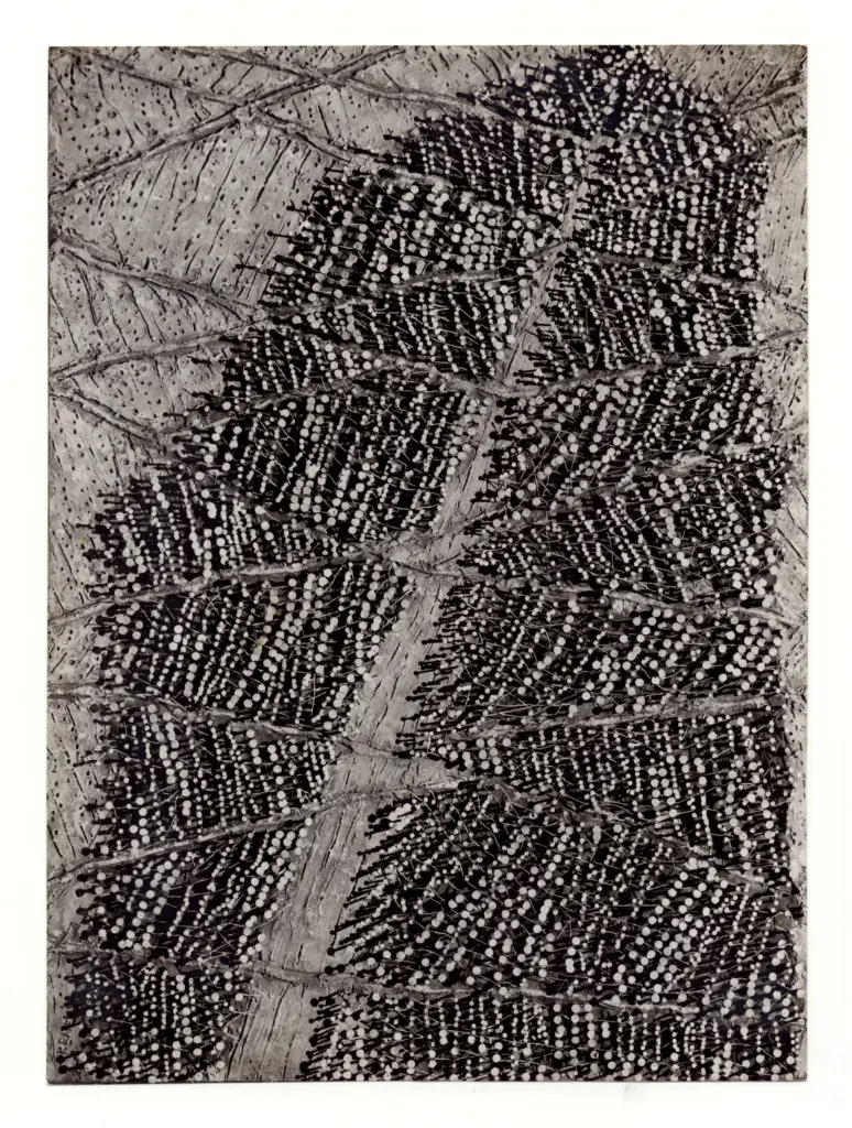 Kemeny, Zoltan , Chemin de bonheur