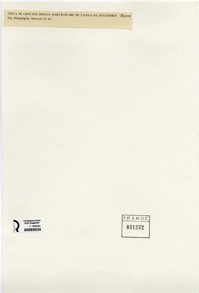 Anonimo , Rivera, Diego - sec. XX - Testa di giovane donna (particolare di: canna da zucchero) , retro