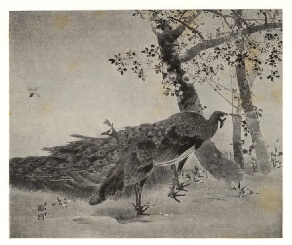 Anonimo , Kikuchi, Hobun - sec. XX - A noble's garden in spring , fronte