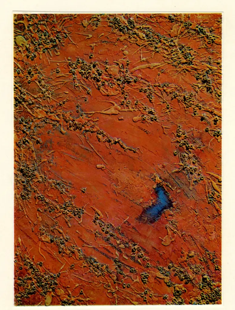 Anonimo , Miyawaki, Aiko - sec. XX - Composizione , fronte