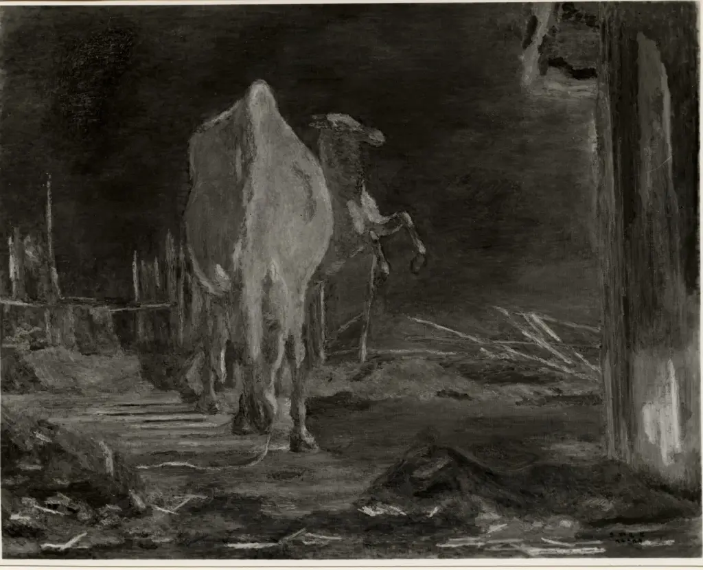 Anonimo, Anonimo , fronte