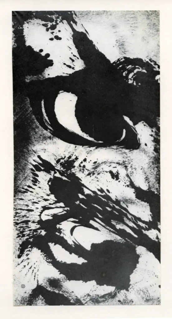 Anonimo, Anonimo , fronte