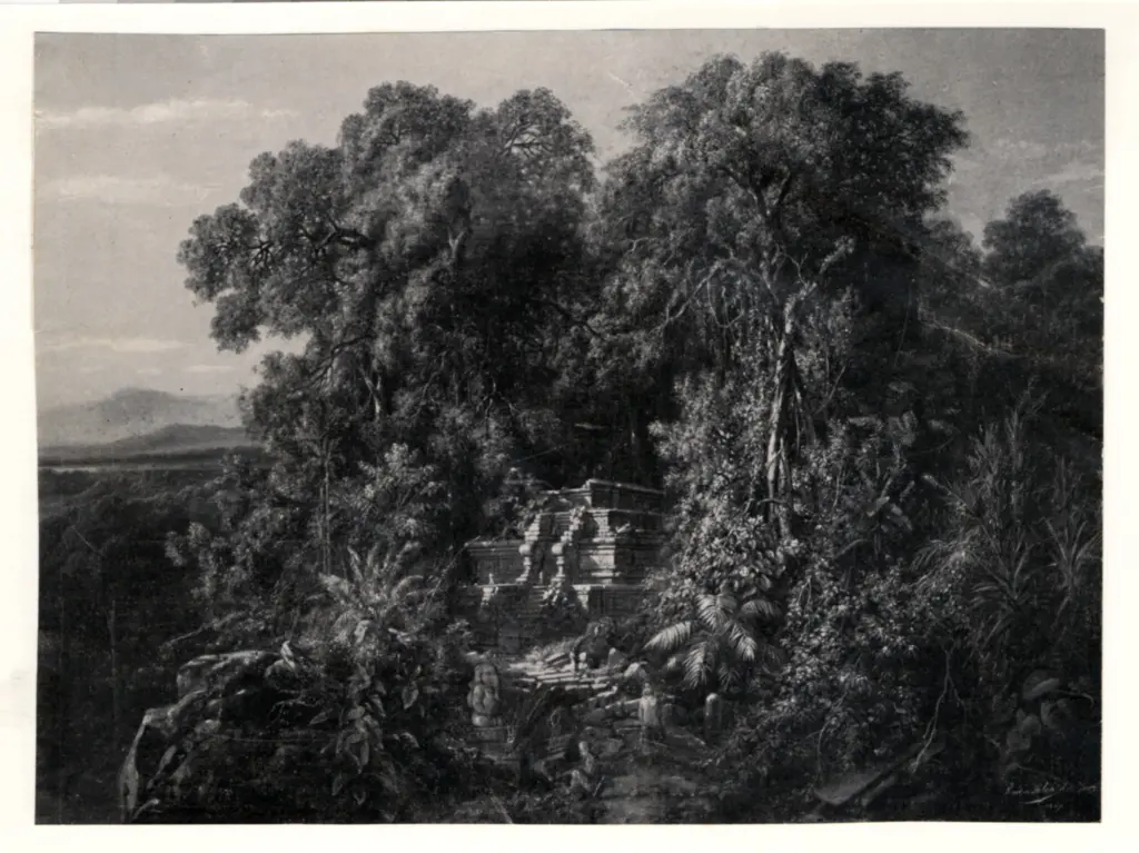 Anonimo, Anonimo , fronte