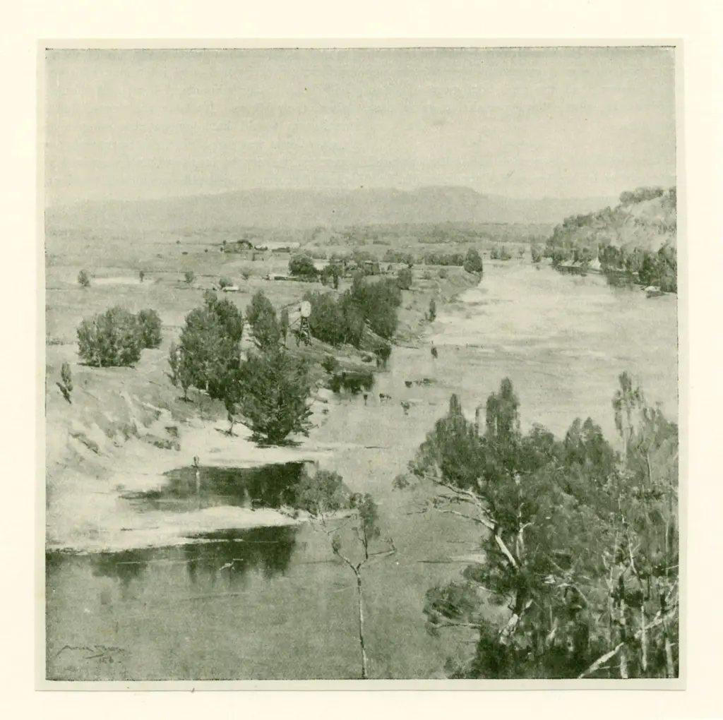 Anonimo, Anonimo , fronte