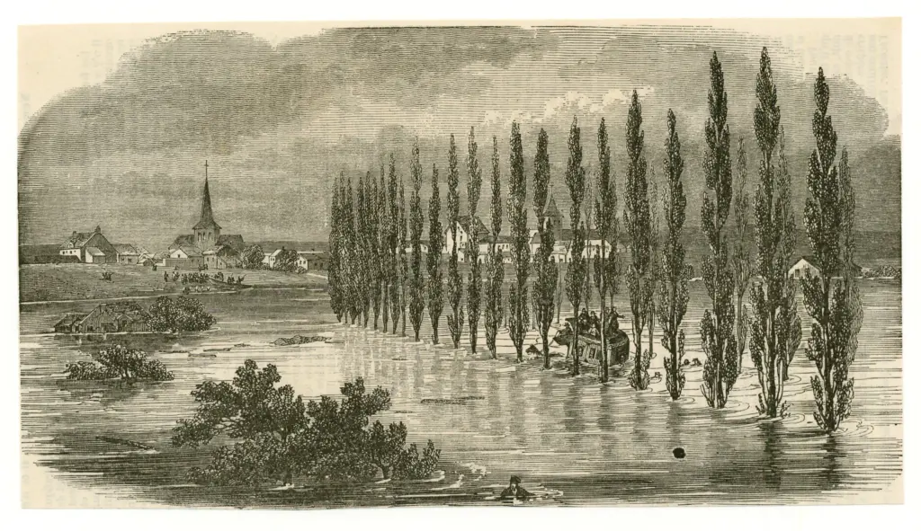 Anonimo , Anonimo francese sec. XIX/XX , fronte