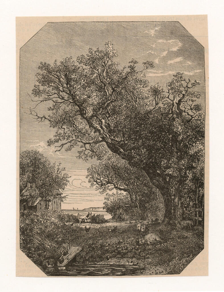 Anonimo , Anonimo francese sec. XIX/XX , fronte