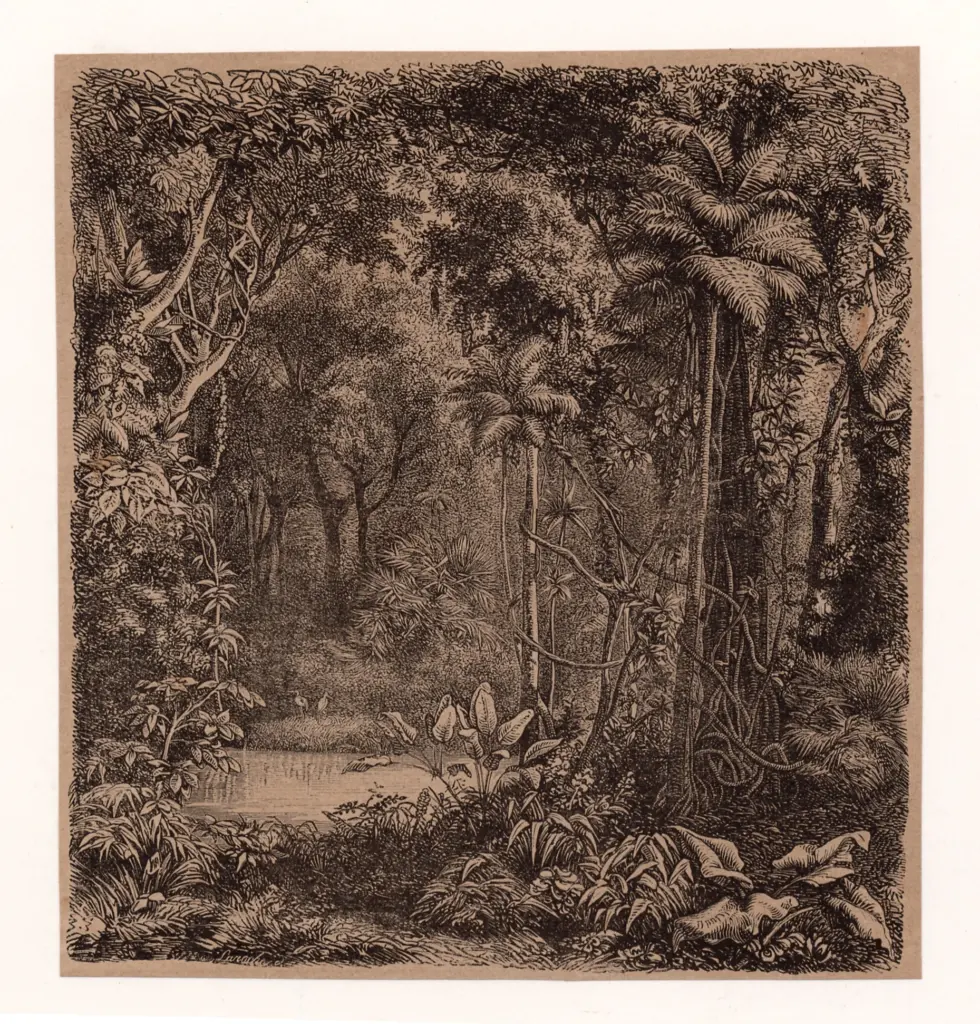 Anonimo , Anonimo francese sec. XIX/XX , fronte