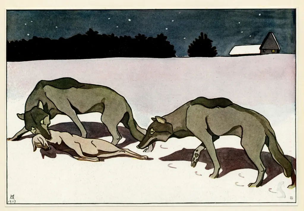 Anonimo , Anonimo , fronte