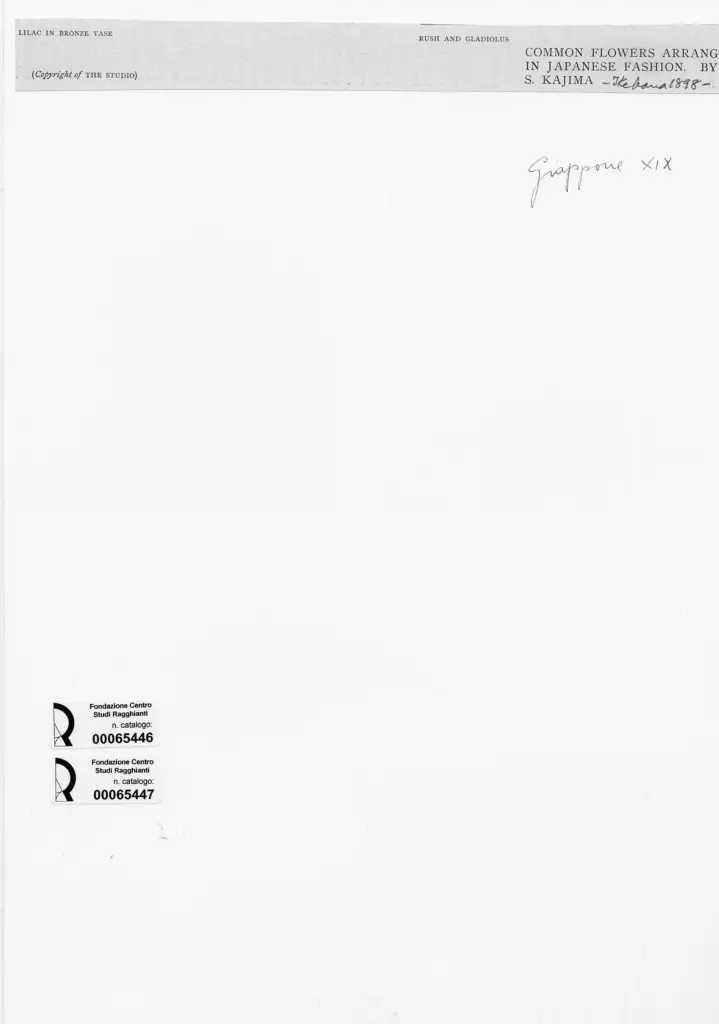 Anonimo , Kajima, S. - sec. XIX - Rush and Gladiolus , retro