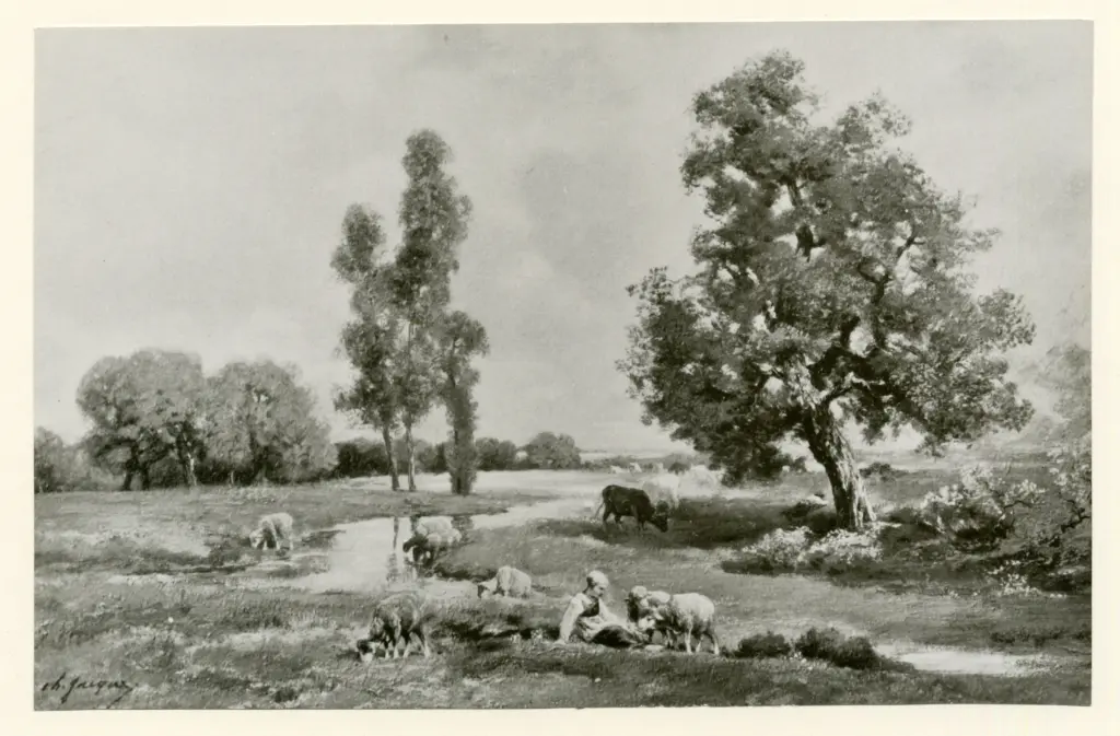 Anonimo , Jacque, Charles - sec. XIX - Moutons - Paysage , fronte