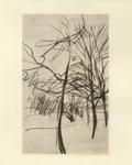 Boldini, Giovanni , Alberi spogli