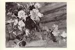 Boldini, Giovanni , Roses