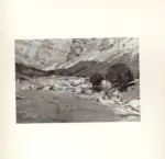 Delleani, Lorenzo , Paesaggio (Sul retro: Autentica di Leonardo Bistolfi)