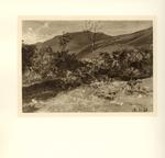Delleani, Lorenzo , Paesaggio -