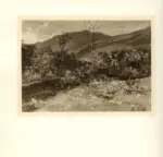 Delleani, Lorenzo , Paesaggio