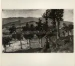 &nbsp; , Lega, Silvestro - -