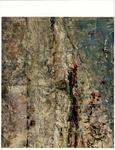 Anonimo , Mancini, Antonio - sec. XX - Spiaggia di minori