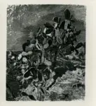 Merello, Rubaldo , Fichi d'India