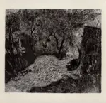 Merello, Rubaldo , Olivi a San Fruttuoso