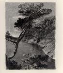 Merello, Rubaldo , Promontorio di Portofino
