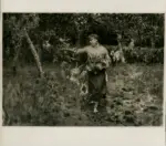 Michetti, Francesco Paolo , Bambina con capra