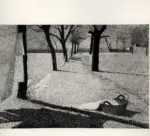 Pellizza, Giuseppe , Panni al sole -