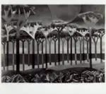 Peruzzi, Osvaldo , Pineta n.3