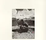 Segantini, Giovanni , Mucca bruna all'abbeveratoio