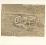 Segantini, Giovanni , Donna con le pecore