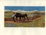 Segantini, Giovanni , Aratura