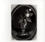 Sernesi, Raffaello , Fiori