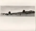 Sernesi, Raffaello , Pascolo a S. Marcello