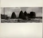 Sernesi, Raffaello , Covoni