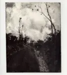 Signorini, Telemaco , Paesaggio