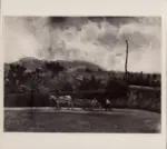 Signorini, Telemaco , Paesaggio con carretto