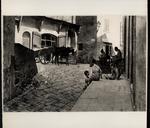 Signorini, Telemaco , Settignano