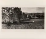 Signorini, Telemaco , Campagna