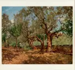 Signorini, Telemaco , Campo con animali