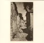 Signorini, Telemaco , Rustico a Settignano