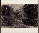 Signorini, Telemaco , Giardino