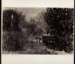 Signorini, Telemaco , Giardino