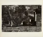 Fattori, Giovanni , Paesaggio