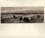 Fattori, Giovanni , Animali in campagna