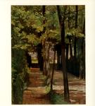 Fattori, Giovanni , Sentiero